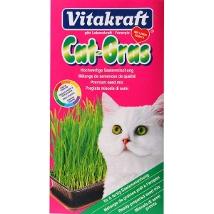 Cat Grass Erba Natural 24031