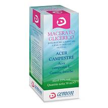ACER CAMPESTRE GEMME MG 30ML