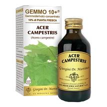 ACERO CAMP 100ML ANALCO GEM10+