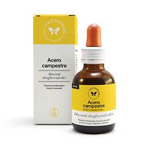 ACERO CAMPESTRE GEMME 50ML MG