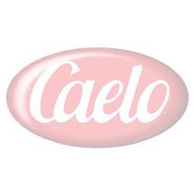 ACQUA ROSA 1L