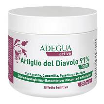 ADEGUA ACTIVE ARTIGL91% FORTE