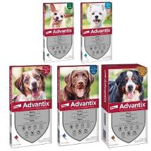 Advantix Spot On blu per cani da 25 a 40 kg