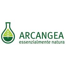 AESCULUS HIPPOC GD 33 BIO100ML
