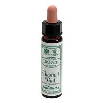 AINSWORTHS CHESTNUT BUD 10ML