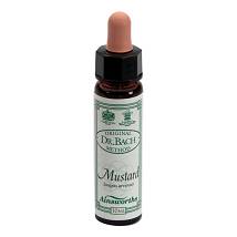 AINSWORTHS MUSTARD 10ML