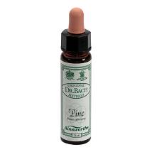 AINSWORTHS PINE 10ML
