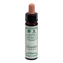 AINSWORTHS SCLERANTHUS 10ML