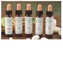 AINSWORTHS SWEET CHESTNUT 10ML