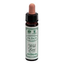 AINSWORTHS WILD ROSE 10ML