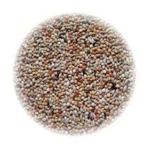 Ali Esotici 1Kg