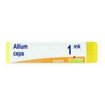 ALLIUM CEPA MK GLOBULI