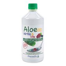 ALOE MIRTILLO & VITE 1L