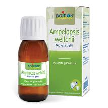 AMPELOPSIS WEITCHII MACERATO GLICERINATO 60ML