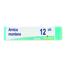 ARNICA 12CH GL