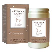 ARTEMISIA ANNUA POLVERE 180G