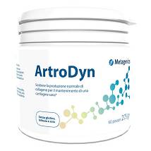 ARTRODYN 60 PORZIONI 275G