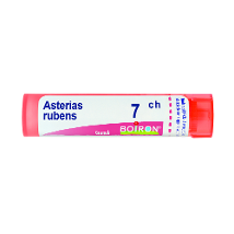 ASTERIAS RUBENS 7CH GRANULI