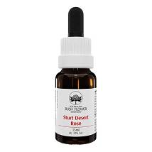 BACH CENTER AGRIMONY ESS 20ML