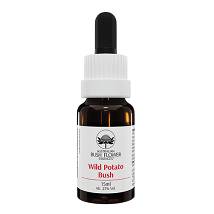 BACH CENTER ESS GENTIAN 20ML