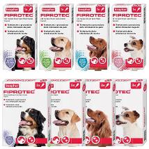 Beaphar Fiprotec Cane Medio Spot-On 10-20Kg 1 X 134 Mg Minsan 104624073