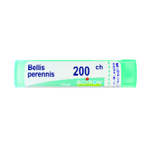 BELLIS PERENNIS 200CH GRANULI