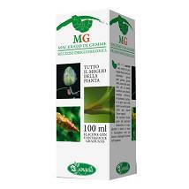 BETULA PUBESCENS 100ML MG