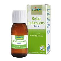BETULA PUBESCENS MACERATO GLICERINATO 60ML