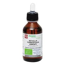 BETULLA PUB AMENTI MG100ML BIO