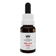 BILLY GOAT PLUM ESSENZA 15ML