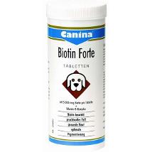 Biotin Forte Polvere