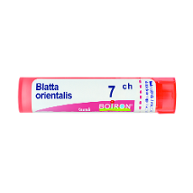 BLATTA ORIENTALIS 7CH GRANULI