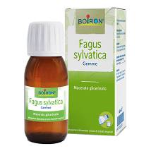 BOIRON FAGUS SYLVATICA MACERATO GLICERINATO 60ML