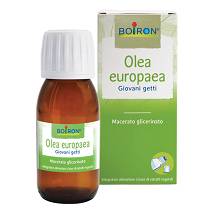 BOIRON OLEA EUROPAEA MACERATO GLICERICO GIOVANI GETTI 60ML