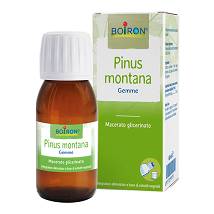 BOIRON PINUS MONTANA GEMME MACERATO GLICERINATO 60 ML