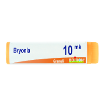 BRYONIA XMK GLOBULI