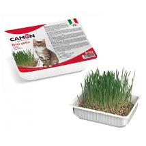 Cam Erba Per Gatti Semi Di Orzo B162 - Vaschetta Minsan 970981890
