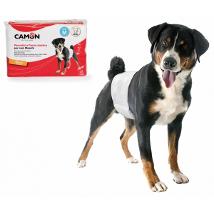 Cam Pannolini Fascia Per Cani Maschi Mis 2 Monouso B040/2 Minsan 974883757