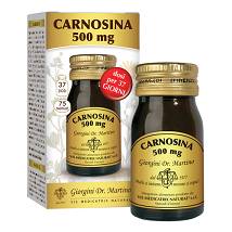 CARNOSINA 500MG 30G 75PAST