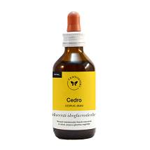 CEDRO LIBANI GIOV GET 100ML MG