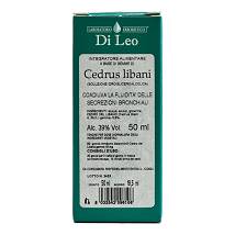 CEDRUS LIBANI GEMME 50ML