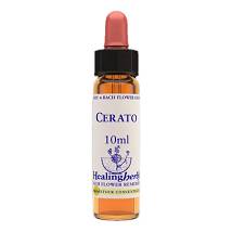 CERATO ESSENZA 10ML