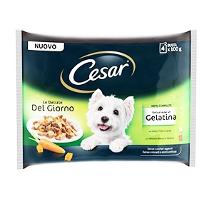 Cesar Delizie Del Giorno Selezione In Gelatina Multipack Bs 304921 Manzo E Verdure