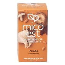 CHAGA ES 60TAV