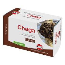 CHAGA ESTRATTO SECCO TIT 60CPS