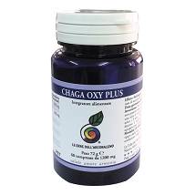 CHAGA OXY PLUS 60CPR