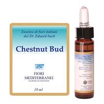 CHESTNUT BUD FIORI MEDITER GTT