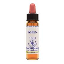 CHICORY ESSENZA 30ML