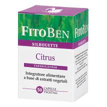 CITRUS 50CPS 24G