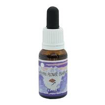 CLARITY ESSENZA 15ML